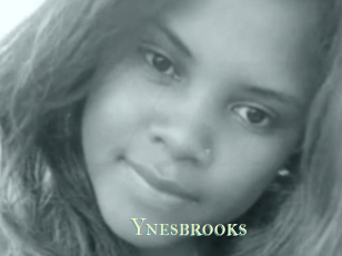 Ynesbrooks