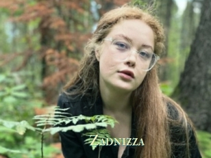 Zadnizza