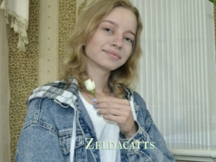 Zeldacatts