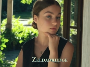 Zeldadrudge