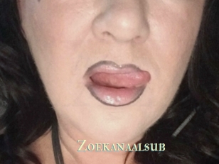 Zoekanaalsub